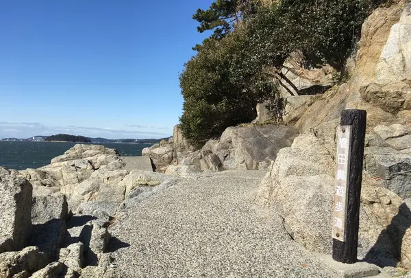 橋田鼻の写真・動画_image_114072