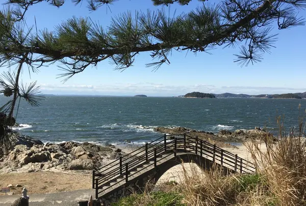 橋田鼻の写真・動画_image_114074