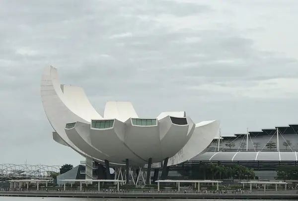 ArtScience Museumの写真・動画_image_114114