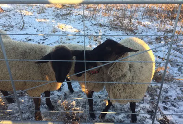 千年希望の丘（第１号丘）の写真・動画_image_114204