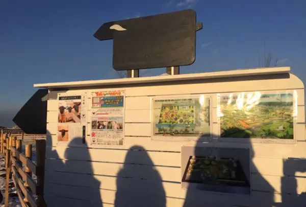 千年希望の丘（第１号丘）の写真・動画_image_114205