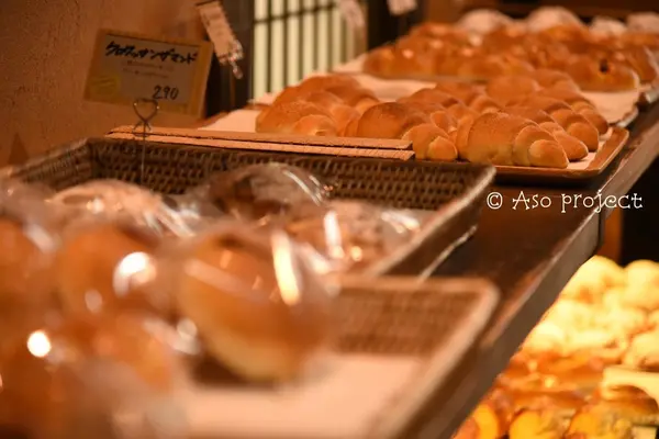 共楽園・林檎の樹の写真・動画_image_114254