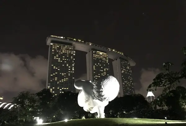 ガーデンズ・バイ・ザ・ベイの写真・動画_image_114426