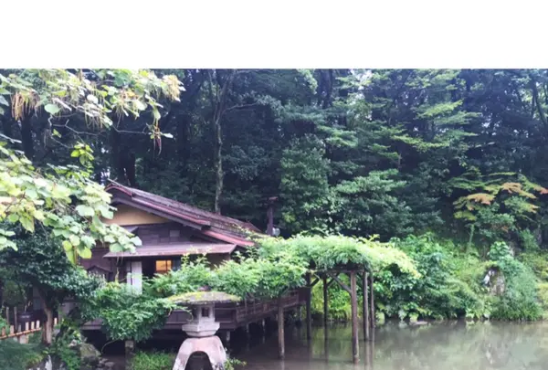 兼六園の写真・動画_image_114429