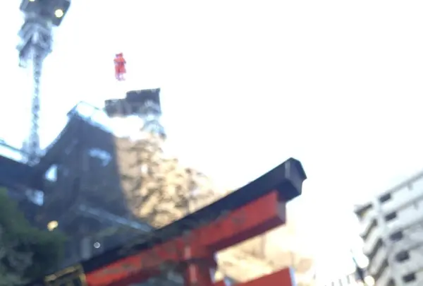 福徳神社（芽吹稲荷）の写真・動画_image_114438