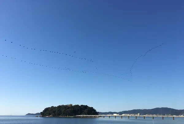 全国ご当地うどんサミットの写真・動画_image_114537