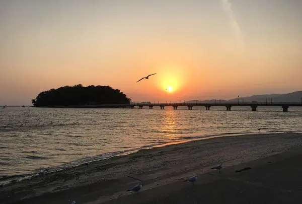 全国ご当地うどんサミットの写真・動画_image_114540