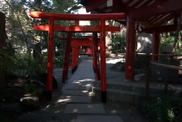 來宮神社の写真・動画_image_114550
