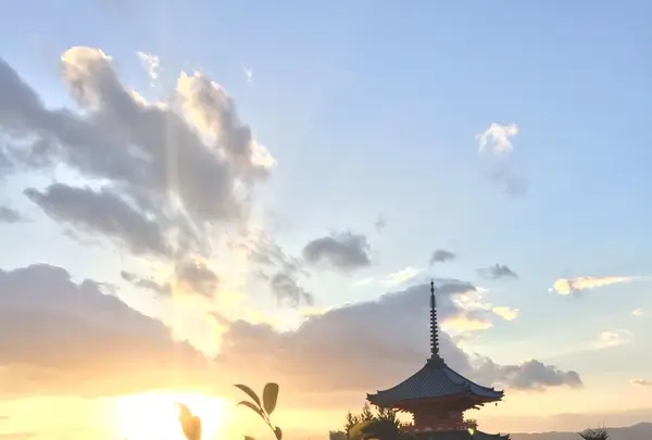 地主神社の写真・動画_image_114590