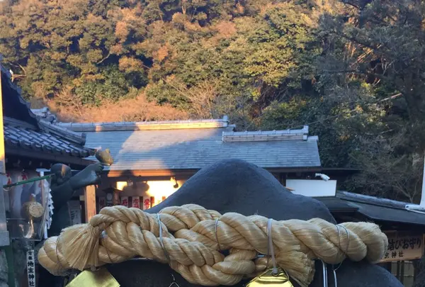 地主神社の写真・動画_image_114591