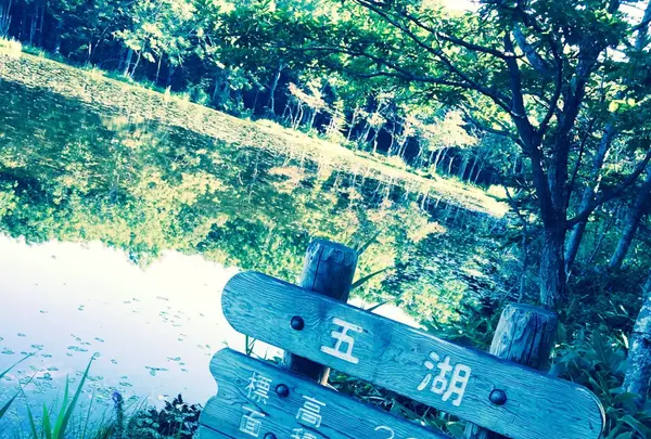 知床五湖の写真・動画_image_114683