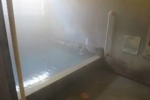 翁の湯の写真・動画_image_114694