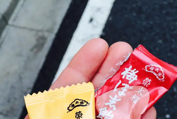 円乗寺の写真・動画_image_114962