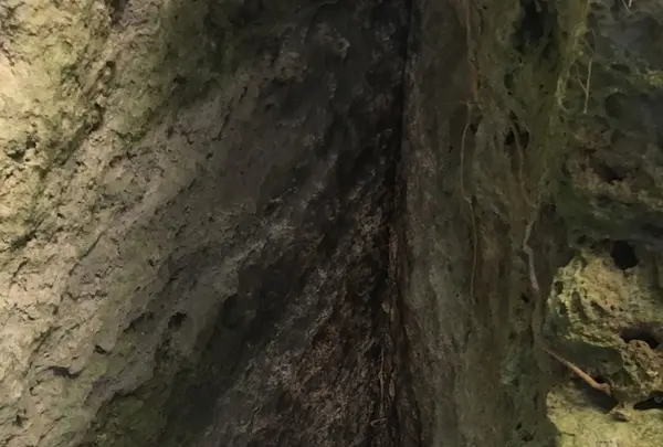 斎場御嶽の写真・動画_image_115005