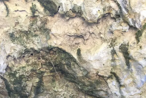 斎場御嶽の写真・動画_image_115006