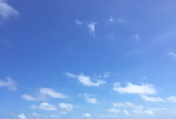 知念岬公園の写真・動画_image_115008