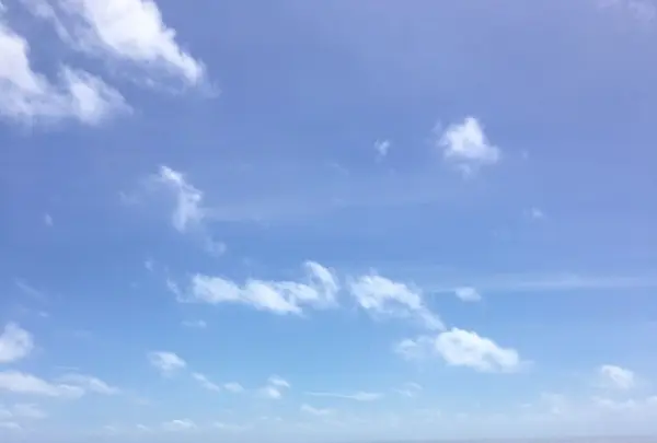 知念岬公園の写真・動画_image_115010