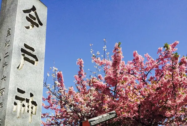 今戸神社の写真・動画_image_115083