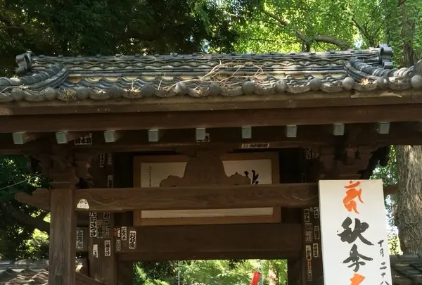 等々力不動尊の写真・動画_image_115157