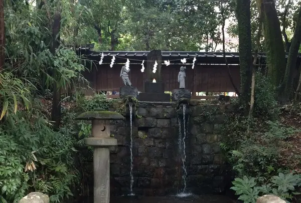 深大寺の写真・動画_image_115178