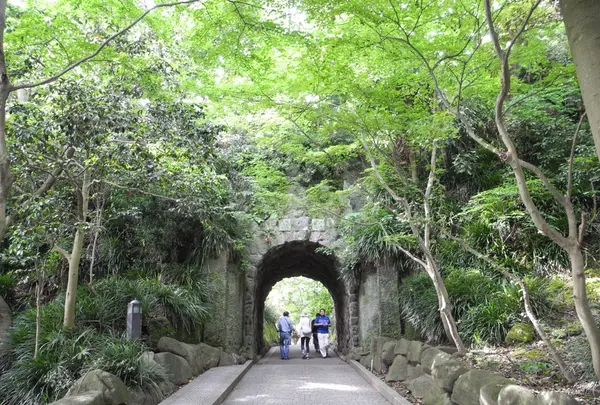 鎌倉文学館の写真・動画_image_115188