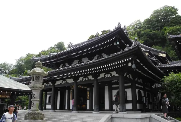 長谷寺の写真・動画_image_115191