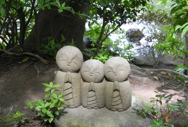 長谷寺の写真・動画_image_115193