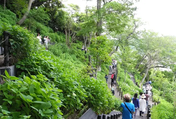 長谷寺の写真・動画_image_115194
