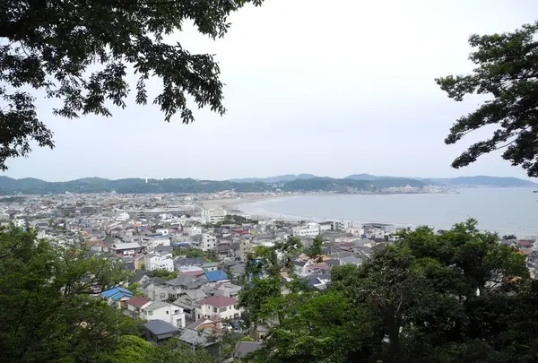 長谷寺の写真・動画_image_115196