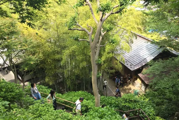 長谷寺の写真・動画_image_115197