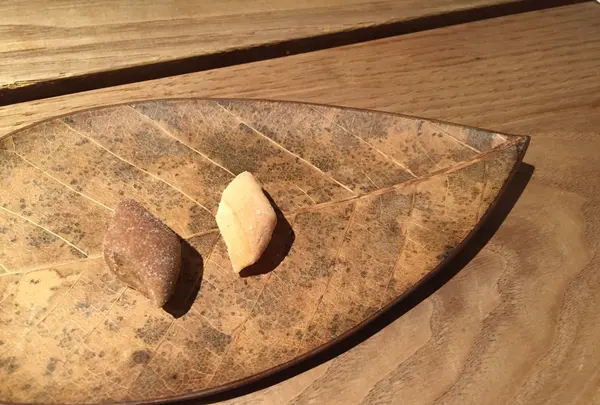 コルツの写真・動画_image_115269