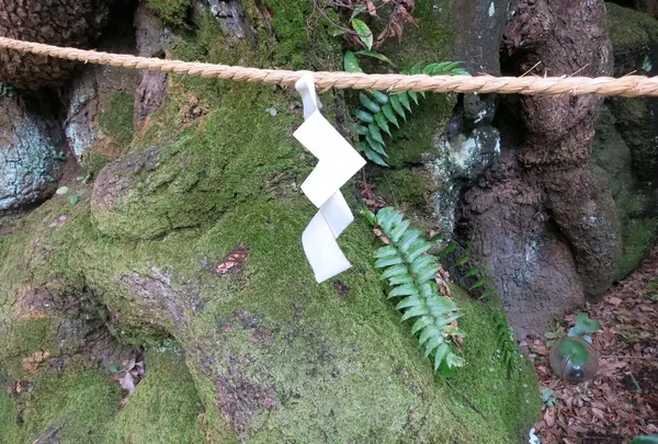 糸川遊歩道の写真・動画_image_115307