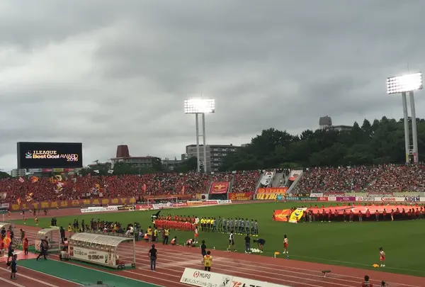 パロマ瑞穂スタジアムの写真・動画_image_115399