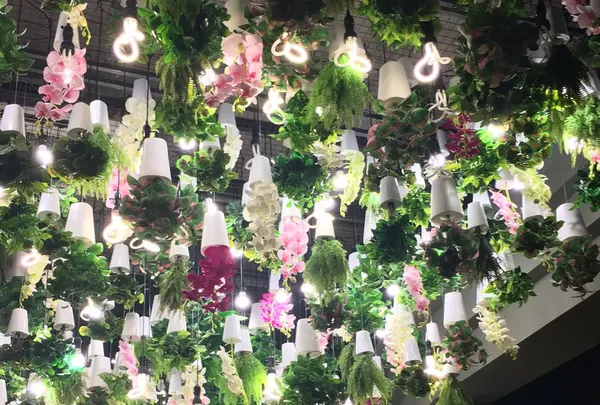 24"7の写真・動画_image_115592