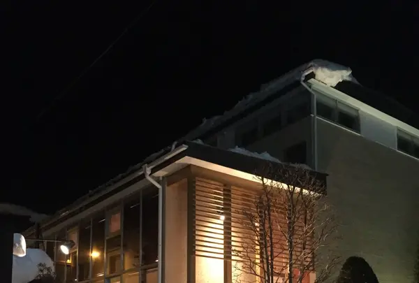 どんぐりの写真・動画_image_115699