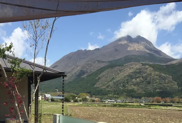 山椒郎の写真・動画_image_115734