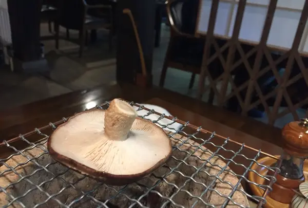 山家料理 湯の岳庵の写真・動画_image_115735