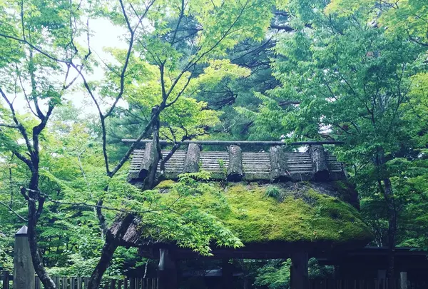 山家料理 湯の岳庵の写真・動画_image_115736