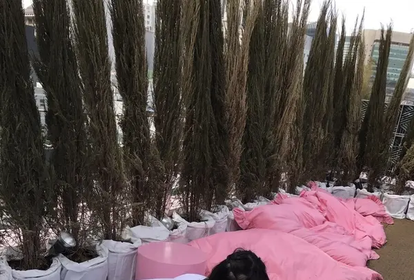 스타일난다 핑크풀카페(stylenanda pink pool cafe)の写真・動画_image_115757