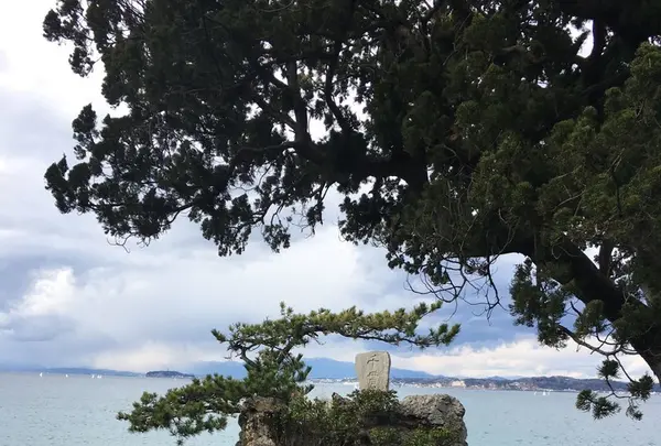 森戸神社の写真・動画_image_115772