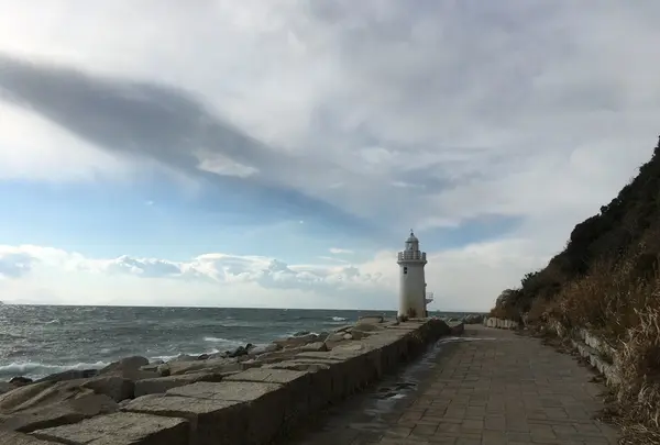 伊良湖岬自然散策路の写真・動画_image_115797