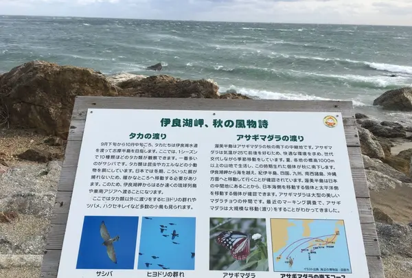 恋路ヶ浜の写真・動画_image_115801