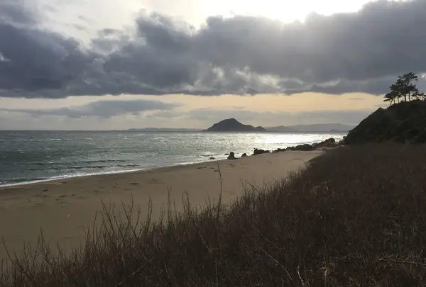 伊良湖岬自然散策路の写真・動画_image_115807