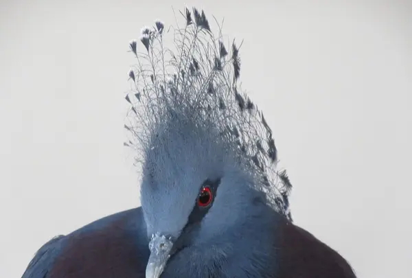 NIFREL（ニフレル）の写真・動画_image_115878