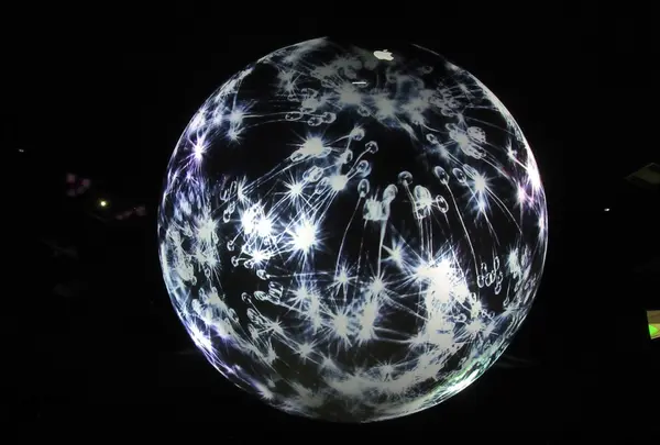 NIFREL（ニフレル）の写真・動画_image_115882