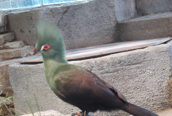 NIFREL（ニフレル）の写真・動画_image_115892