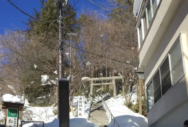 松美の写真・動画_image_116015