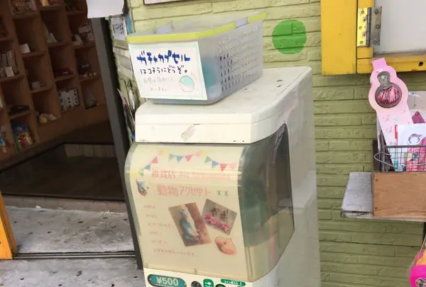 レンタルボックス 月箱の写真・動画_image_116050