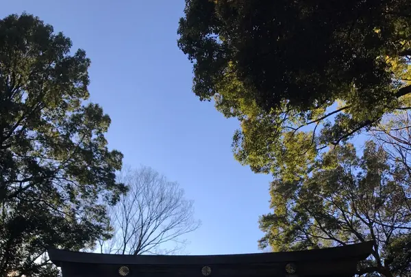 明治神宮の写真・動画_image_116203