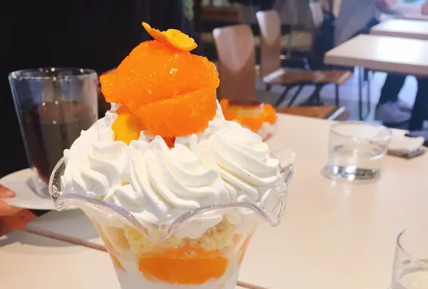 FLAVÉDO par LISETTE（フラベド）の写真・動画_image_116311